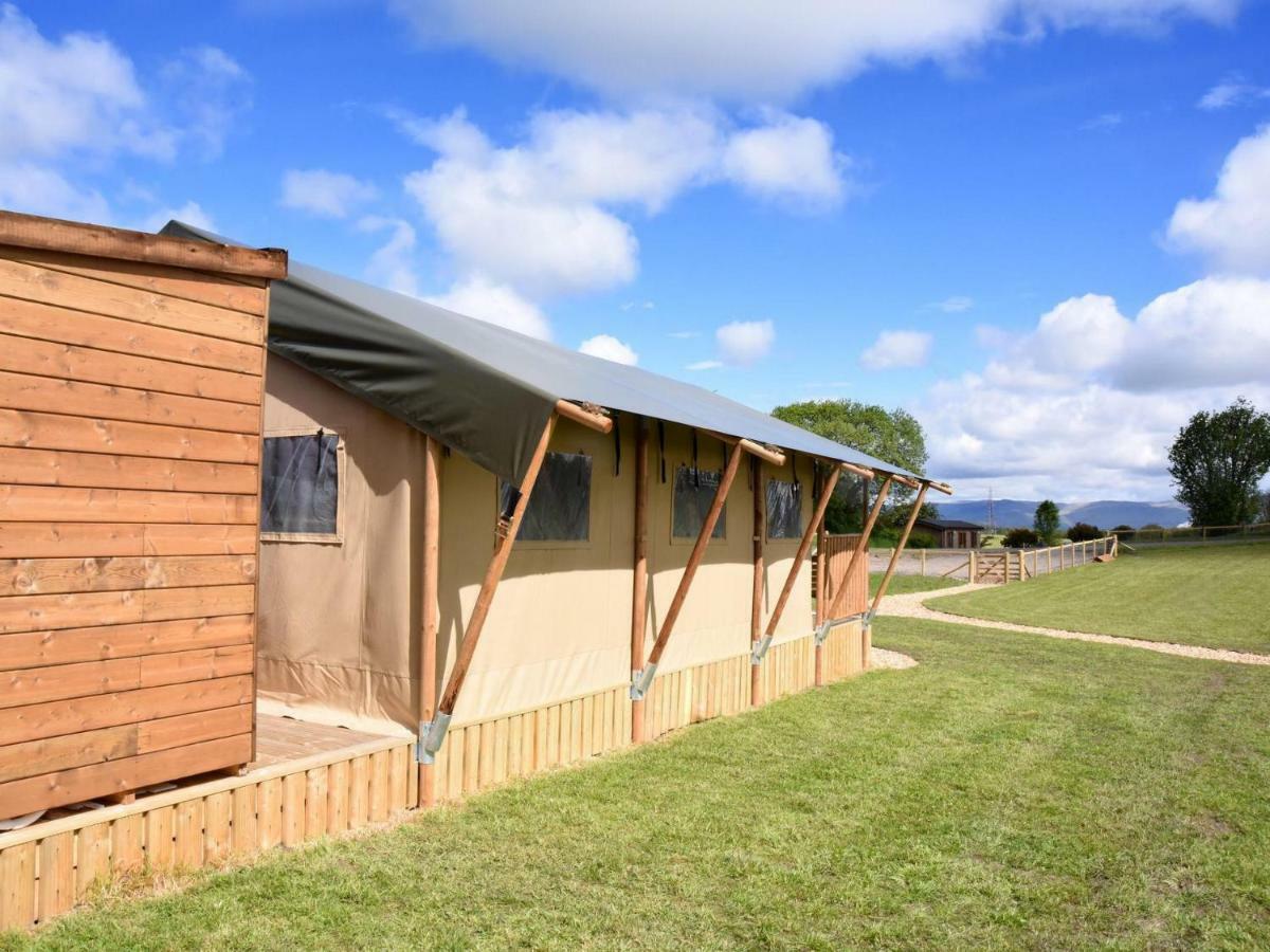 Carr'S Hill Luxury Safari Tents Denny Extérieur photo